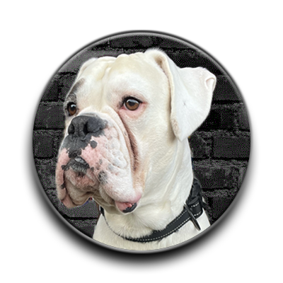 Freddy the apprentice Plumber.